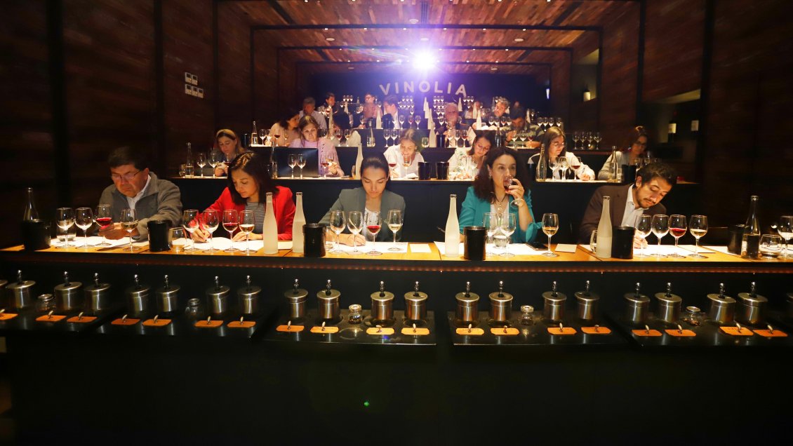 Productores de Aysén presentaron los vinos más australes del mundo