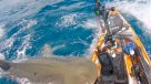   Escalofriante: Tiburón atacó a kayak en Hawái 