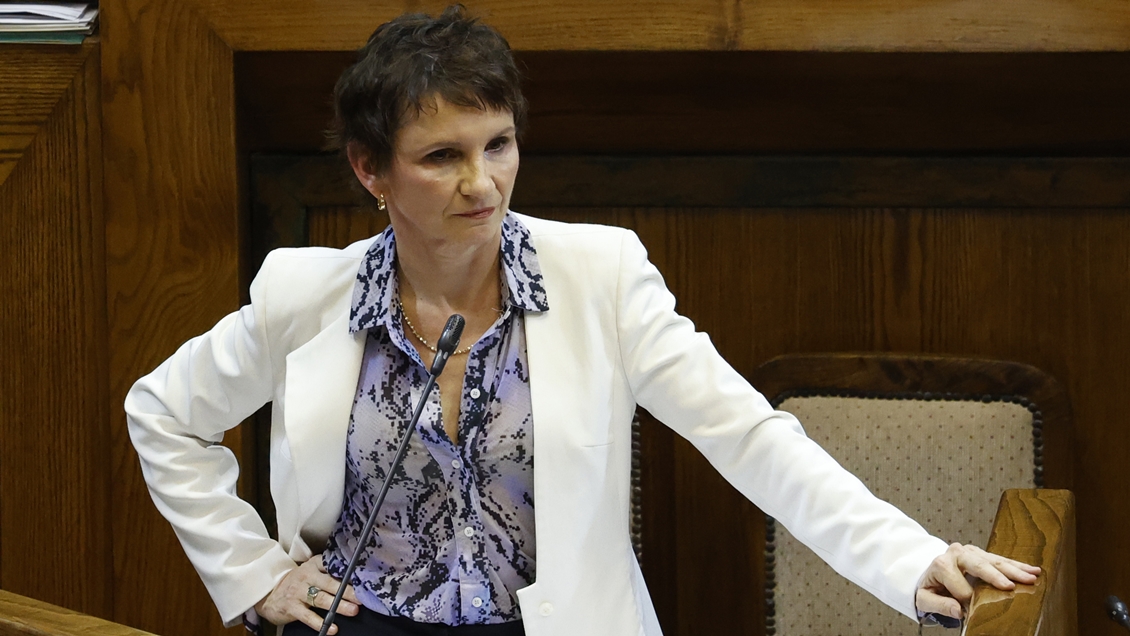 Tohá tras interpelación por seguridad: 