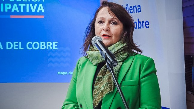 Ministra anuncia que Cochilco fiscalizará a la futura Empresa Nacional del Litio