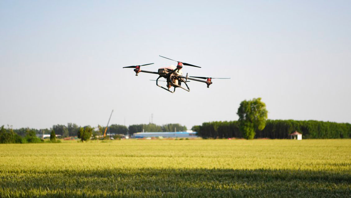 Prohíben el uso de drones en un área natural de China tras ataques de aves rapaces