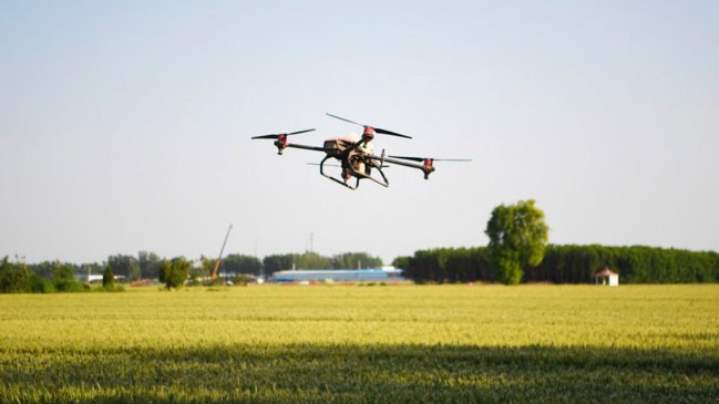 Prohíben el uso de drones en un área natural de China tras ataques de aves rapaces
