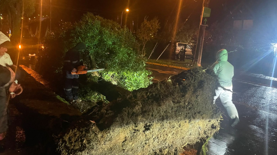 Más 28 mil hogares han sufrido cortes de energía por sistema frontal en Los Lagos