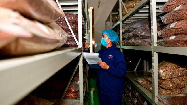 Antiguo libro de medicina tibetana ingresa a Registro de la Memoria del Mundo de la Unesco