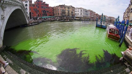   El verde fluorescente que tiñó el Gran Canal de Venecia 