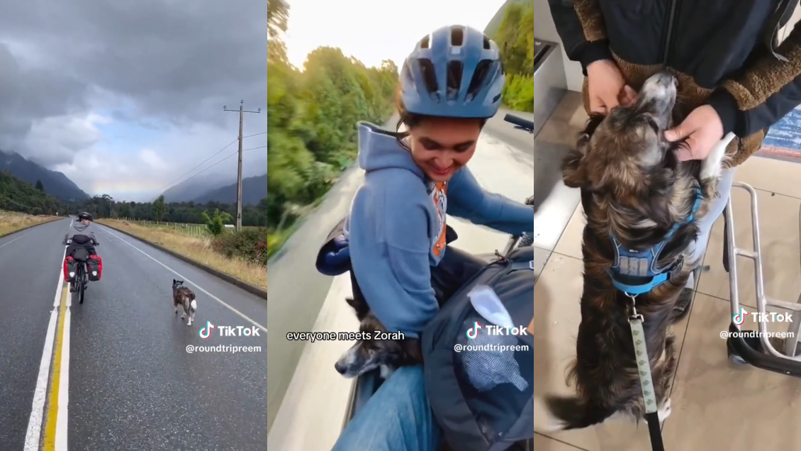 Mochilera adopta a perrita callejera que la siguió por el sur de Chile: 