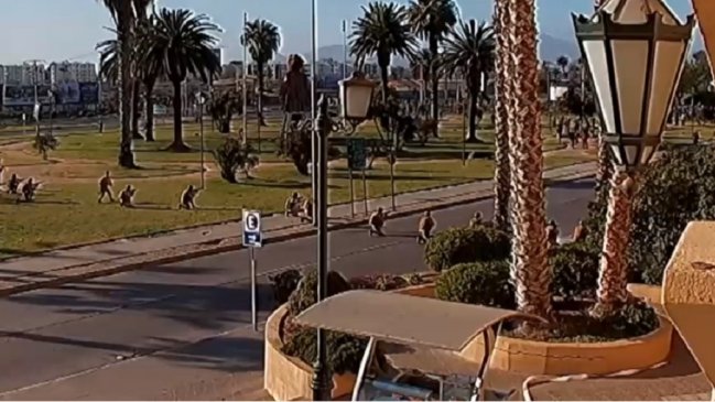 Estallido Social: el lunes comienza juicio contra exmilitares por muerte de Romario Veloz en La Serena