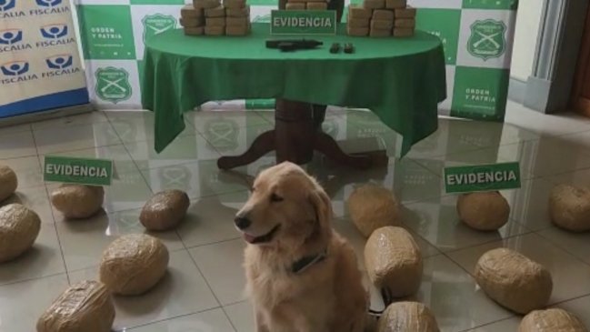 Prisión preventiva para sujeto al que le incautaron 50 kilos de droga y un arma automática en Antofagasta