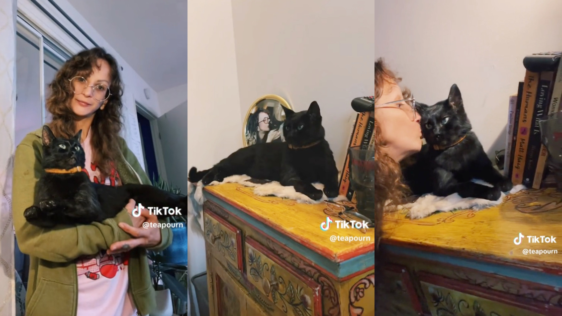 Mujer 'congeló' el cuerpo de su gata muerta y la mantiene en su velador: 