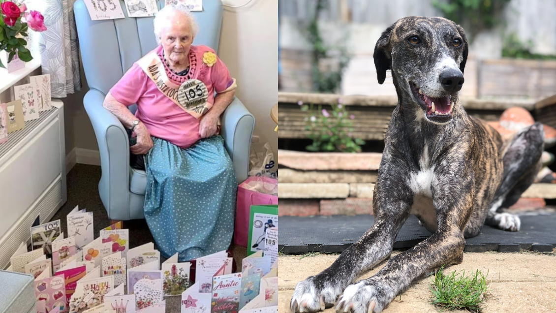 Mujer de 108 años reveló su secreto de la longevidad: Prefirió tener perros en vez de hijos