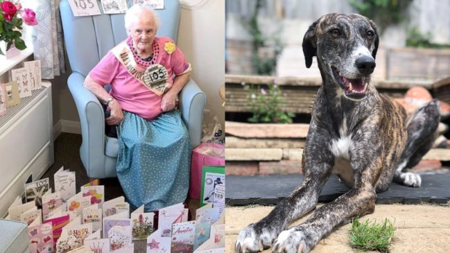 Mujer de 108 años reveló su secreto de la longevidad: Prefirió tener perros en vez de hijos