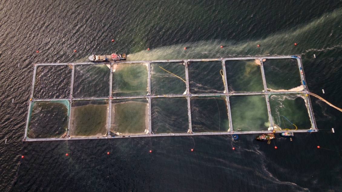 Tribunal Ambiental volvió a impedir instalación de salmonera en la Reserva Nacional Kawésqar