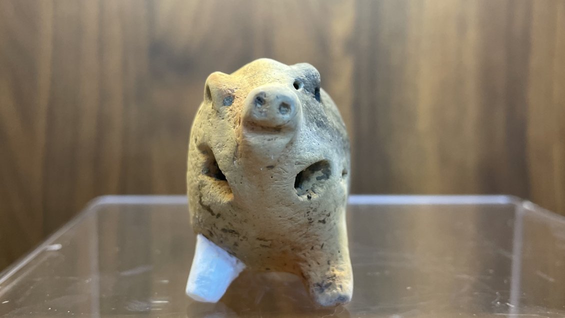 Hallan en China rara figura de un cerdo de hace 6.000 años que pudo ser el juguete de un niño