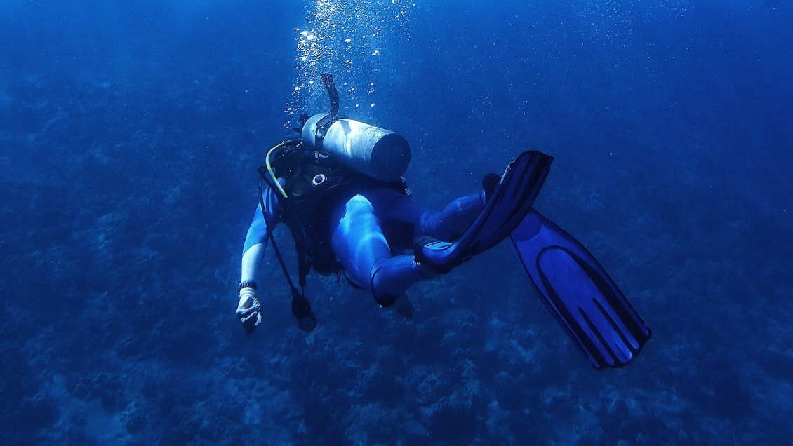 Medvédev: Rusia tiene derecho moral para destruir los cables submarinos de Occidente