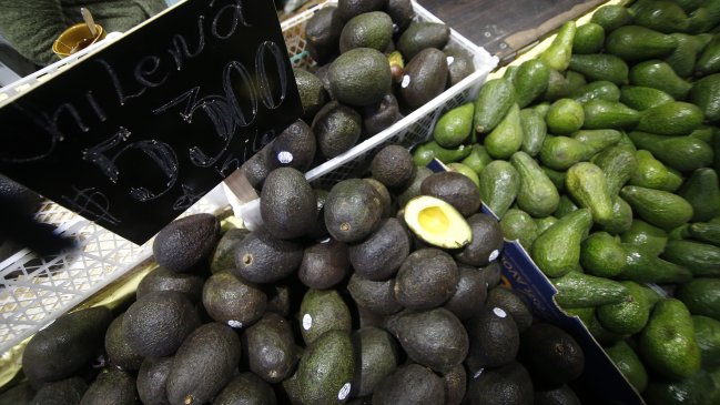 Fruteros en alerta por efecto del frío en cítricos y paltos