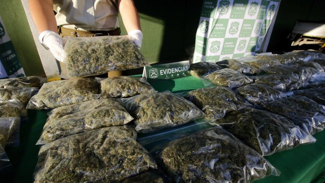 En prisión preventiva quedaron dos hombres sorprendidos con 20 kilos de marihuana en Los Vilos