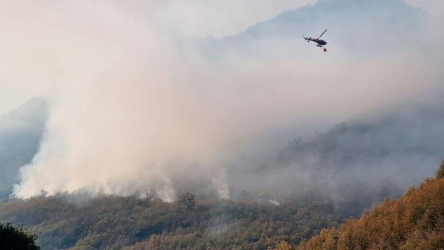 Pese a estar en las puertas del invierno: Combaten incendio forestal en bosque nativo de Linares
