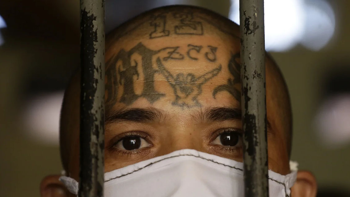 Más de 20 miembros de la Mara Salvatrucha fueron detenidos en Nueva York