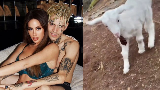 Ignacia Michelson y Marcianeke adoptaron una cabra de mascota: 