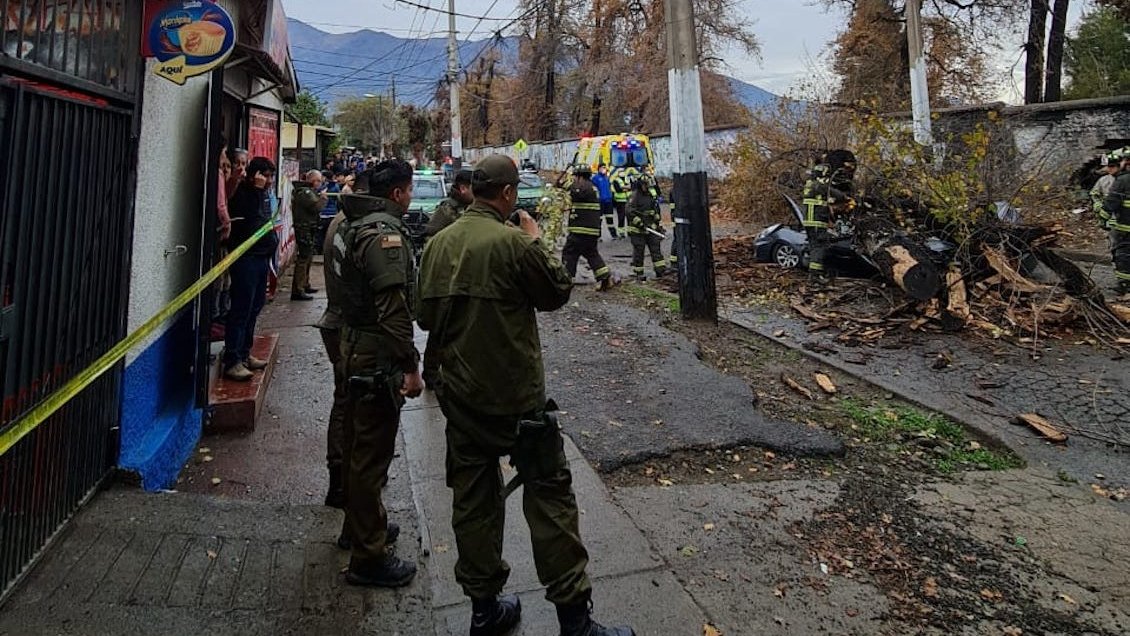 Por caída de árboles: Dos personas murieron aplastadas en Santiago y Concepción