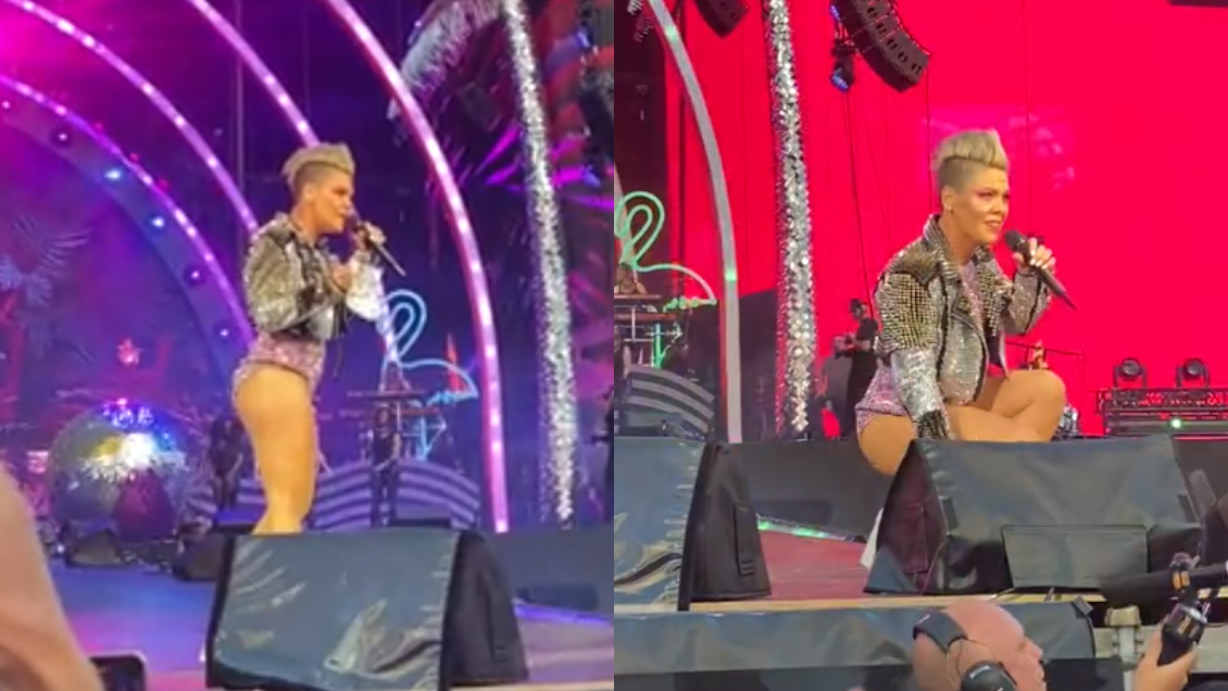 Fan lanzó las cenizas de su madre a la cantante Pink en pleno show