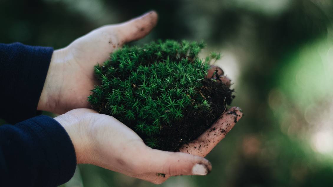 La urea fue protagonista del origen de la vida en la Tierra, afirman científicos