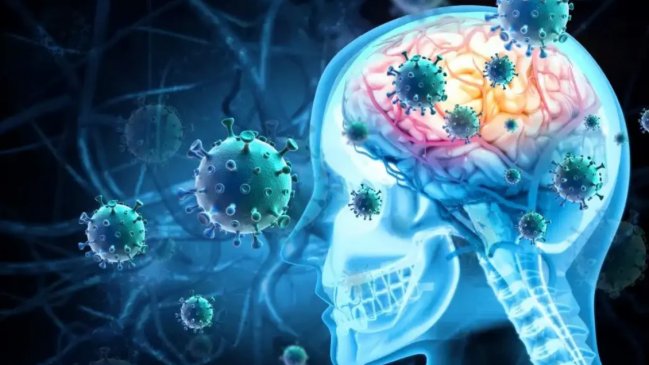 Siete muertos por meningitis fúngica en EEUU: Se relacionan a cirugías hechas en México