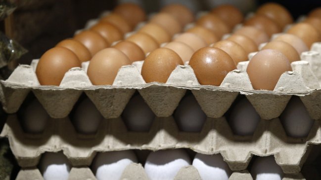 Más de 43 mil huevos de contrabando fueron incautados en Tarapacá