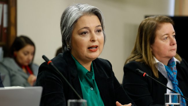 Comisión de Trabajo de la Cámara retomó la tramitación de la reforma previsional