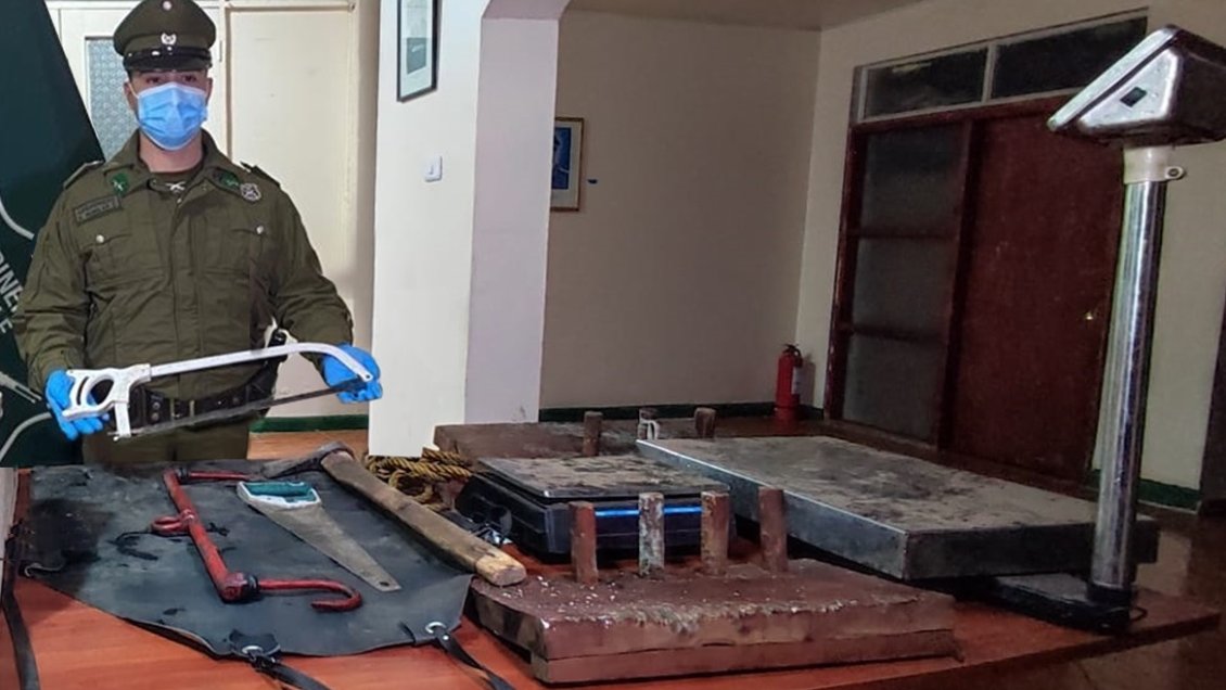 Tres detenidos dejó desmantelamiento de matadero ilegal en Traiguén