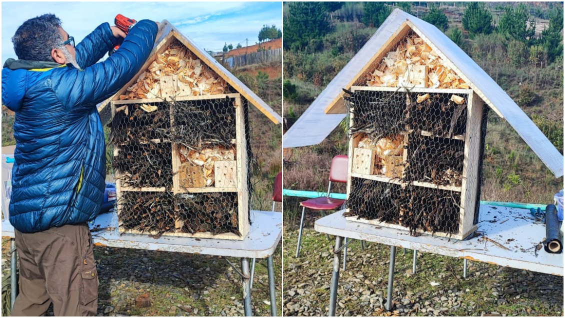 Instalan el primer hotel de insectos en la Región del Biobío
