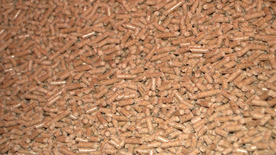Planta de pellets solicitó su quiebra ante incertidumbre de más de 300 clientes en el Biobío