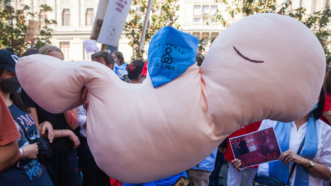 Consiguió las firmas: Consejo Constitucional discutirá el 
