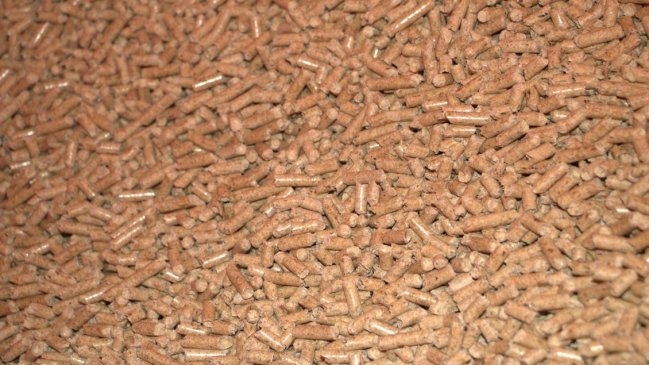 Planta de pellets solicitó su quiebra ante incertidumbre de más de 300 clientes en el Biobío