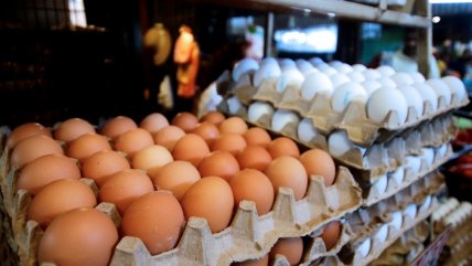  Ministro proyecta que el precio de los huevos bajará en septiembre  