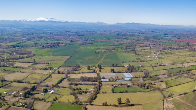 Parcelaciones: Ministerio de Agricultura valoró que la Suprema ratificara su accionar