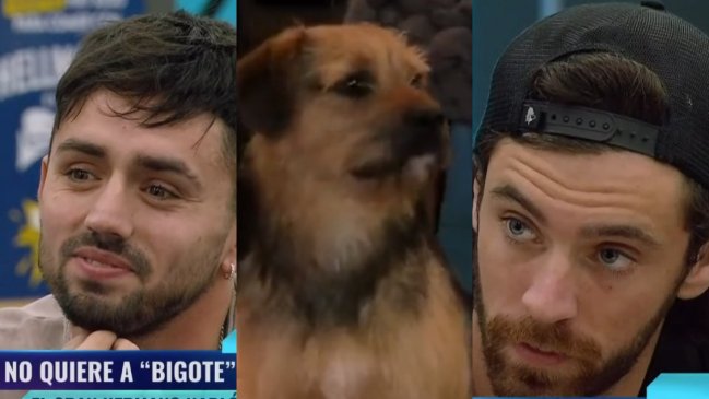 Caso Bigote: Seguidores de Gran Hermano se indignan por nula sanción y llaman a no ver el reality