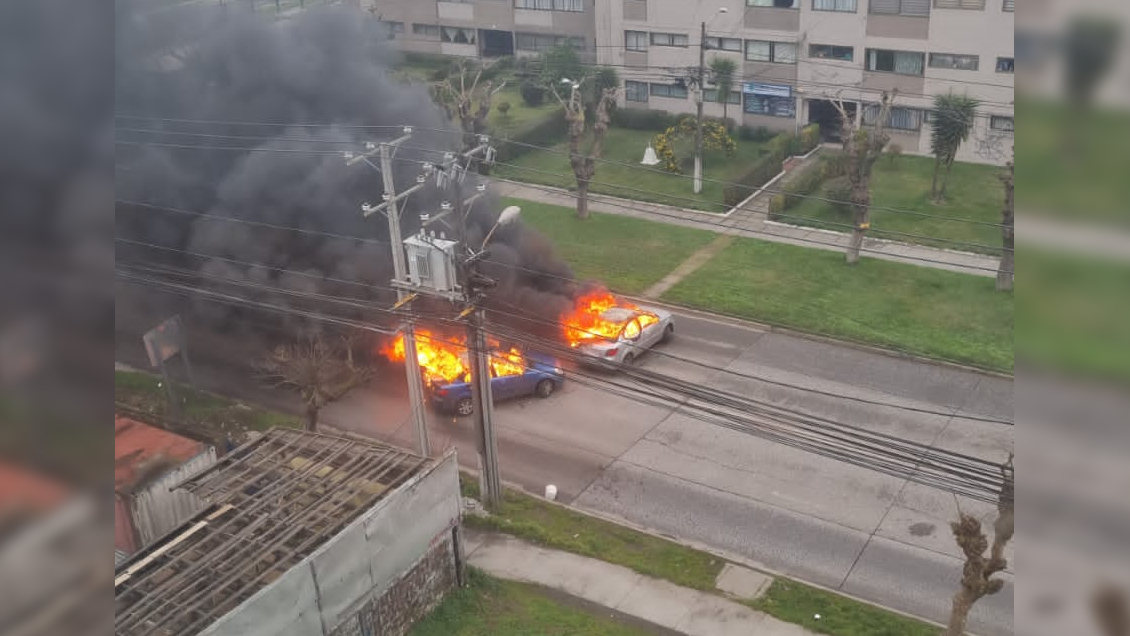 Delegada Dresdner atribuye al crimen organizado el asalto a caja de compensación en Hualpén