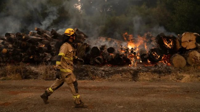 OMS: El calor extremo y los incendios desencadenan todo tipo de enfermedades