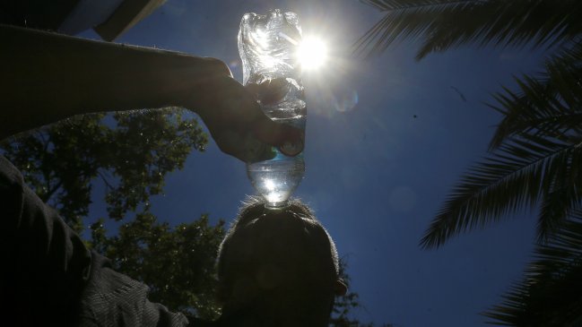 Coquimbo: Temperaturas sobre 30 grados podrían afectar industria agrícola