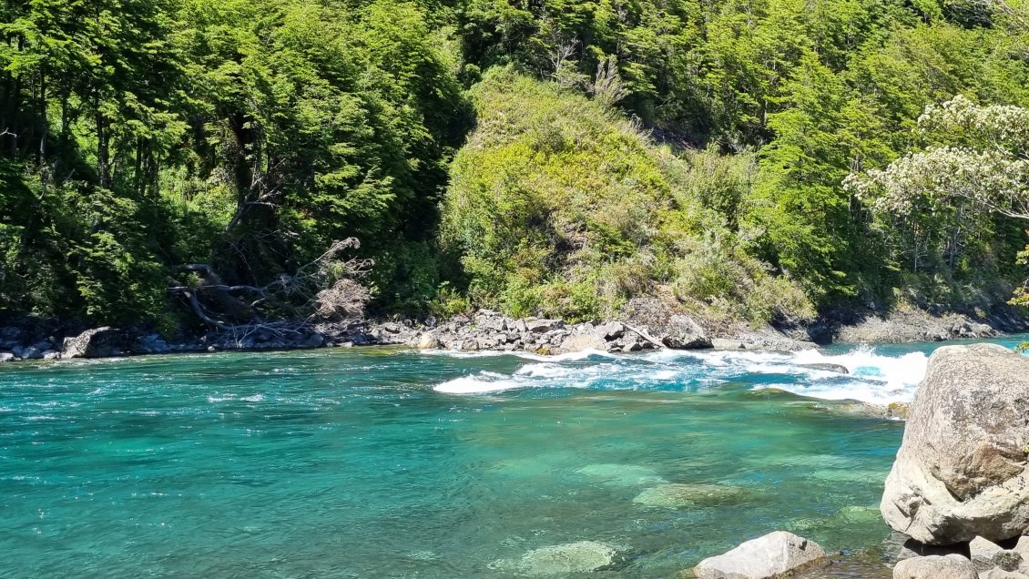 Chile ya tiene su Día Nacional de las Áreas Protegidas