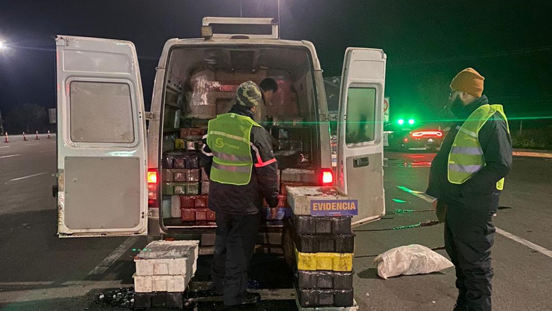 Operativos en cuatro regiones: decomisan 4 toneladas de merluza ilegal