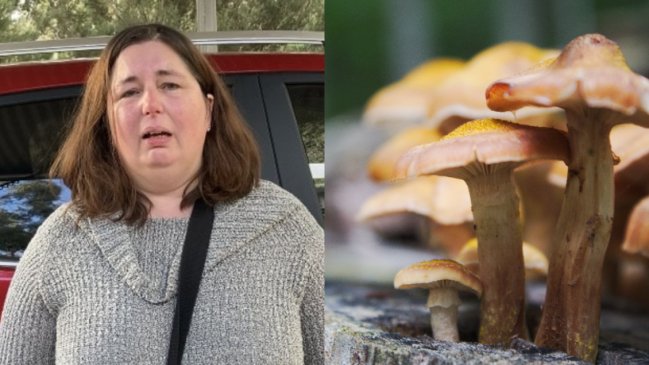 Mujer invitó a sus ex suegros a un almuerzo y murieron intoxicados por hongos venenosos