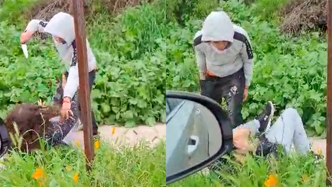 Madre denunció a su hijo por violento asalto en Quilpué: Recibió el video por Whatsapp