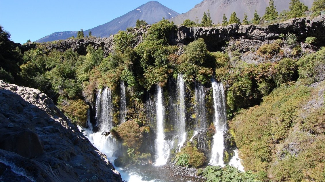 Conaf anunció cierre preventivo de áreas protegidas entre Valparaíso y Biobío por lluvias
