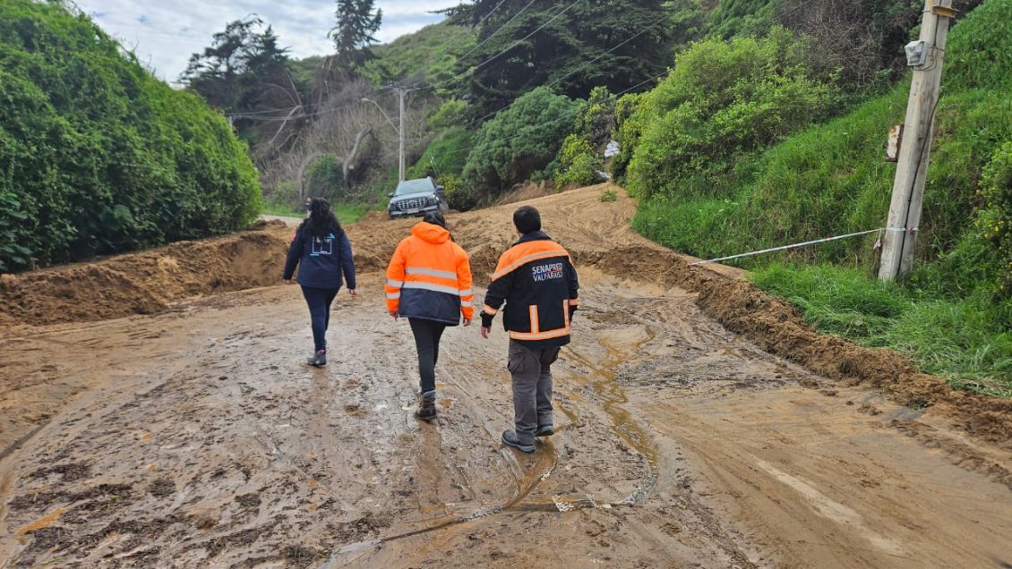 Avenida Borgoño de Viña del Mar estará cerrada al menos hasta el miércoles tras remoción en masa