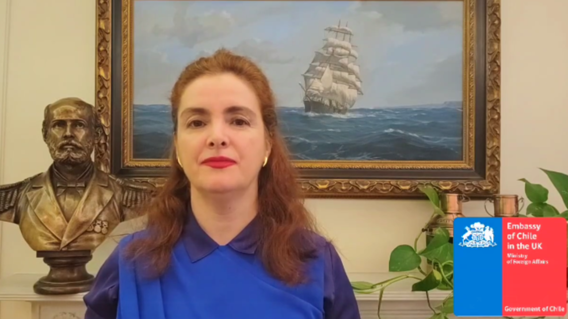 Repudio transversal a embajadora por millonario proyecto que presentó al GORE Biobío