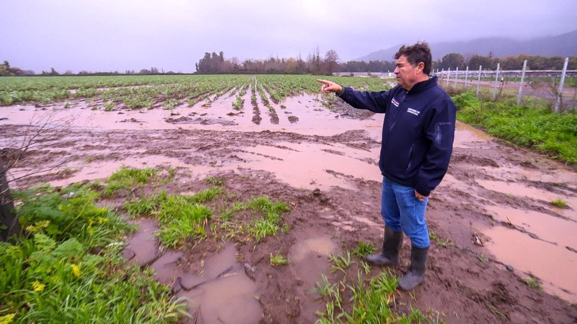 Gobierno prevé alza de 10% en frutas y verduras por las inundaciones