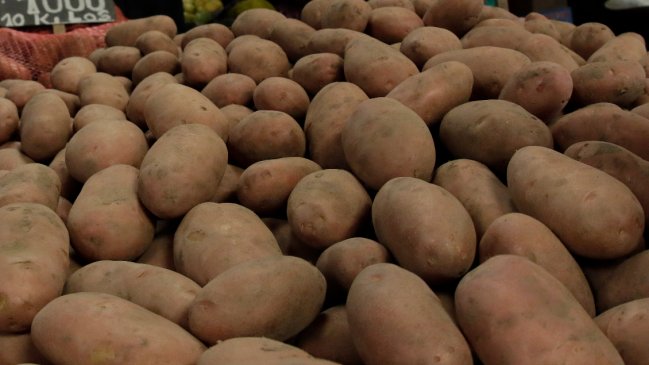 Gremio agrícola afirma que hay poca disponibilidad de papas: Puede haber un 