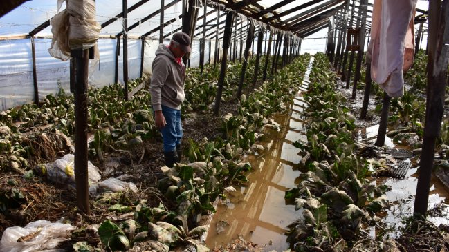 Las consecuencias del sistema frontal: Reconstrucción y efectos en los sectores productivos